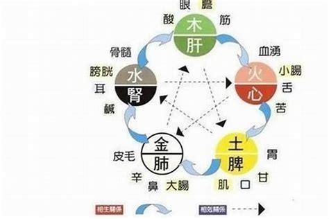 五行缺水|五行缺水会怎么样 命里缺水的人应该怎么办